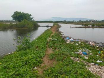 Sale Tanah: tanah dijual