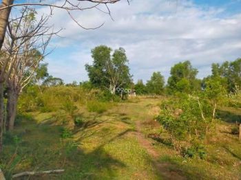 Tanah dijual di Blang bintang