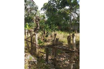 Sale Tanah: tanah dijual