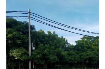 Sale Tanah: tanah dijual