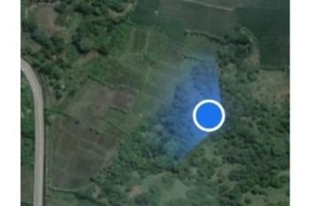 Sale Tanah: tanah kebun