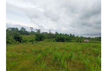 Sale Tanah: tanah di jual