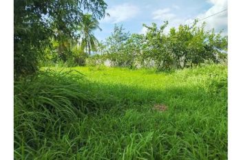 tanah cocok untuk gudang,gedung,toko dll