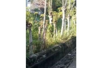 Sale Tanah: tanah dijual