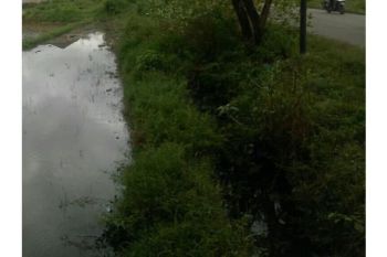 tanah di jual dilambaro kafe