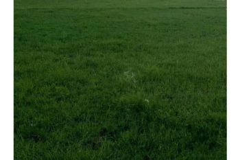 Sale Tanah: tanah dijual