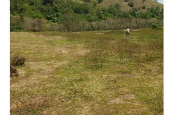 tanah dijual di blang bintang