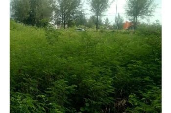 Sale Tanah: tanah dijual ring 1