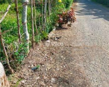 Sale Tanah: tanah dijual