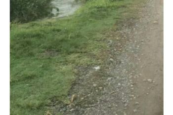 tanah dijual belakang wali nangro