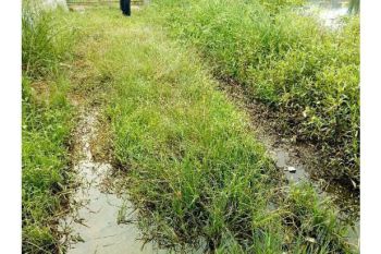 Sale Tanah: tanah dijual