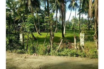 lahan bagi hasil bayu